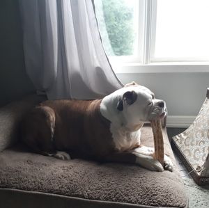 Meet your Posher, Rian